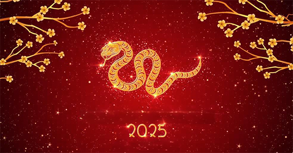 普量2025年春节放假通知